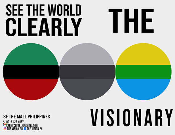 The Visionary Cover